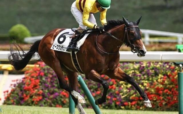 京都芝は上がり重視 菊花賞は末脚安定のピースワンデュックで穴狙い