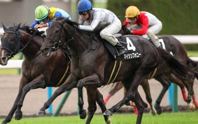 【宝ケ池特別】マイシンフォニーがゴール前の接戦を制する…武豊本日3勝目