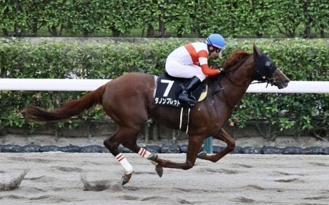 【神無月S】ダノンブレットがハナ差凌ぐ
