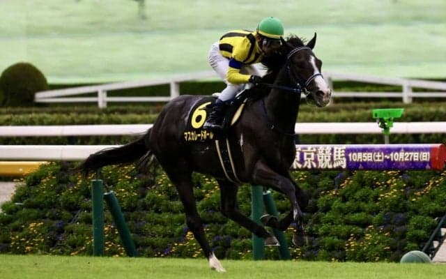【アイビーS】マスカレードボールがデビュー2連勝…ピコチャンブラックは敗れる