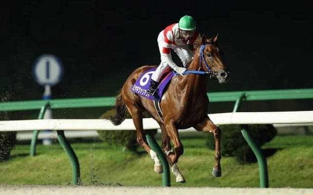 【盛岡競馬】第44回若駒賞見どころ
