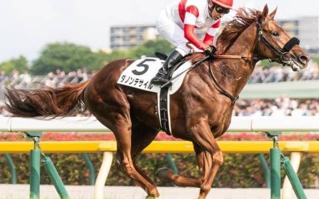 【今日の注目ポイント】菊花賞でダービー馬ダノンデサイルの二冠なるか