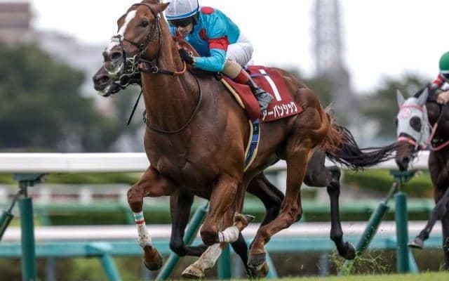 【菊花賞予想】底力問われる淀の3000m 3歳クラシック最終戦を制すカギは瞬発力？