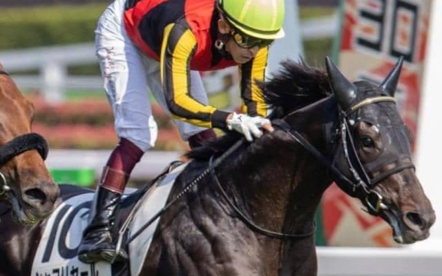 半兄に日本ダービー馬＆皐月賞馬 フィヤールが坂井瑠星騎手でデビュー勝ち狙う