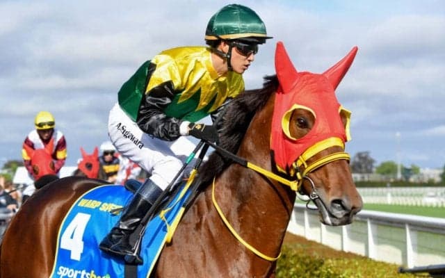 【コーフィールドC】菅原明「不向きな馬場になった」ワープスピードは13着