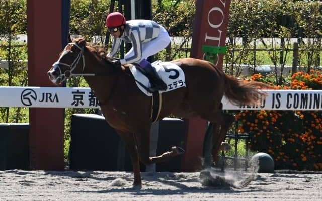 【京都3R新馬戦結果】ナダル産駒フェデラーが大差勝ち