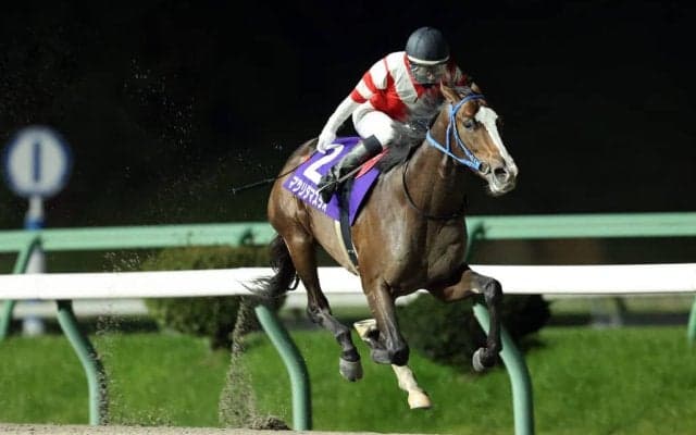 【盛岡・若駒賞】マツリダマスラオが重賞初V…村上忍「僕自身も助けられた」