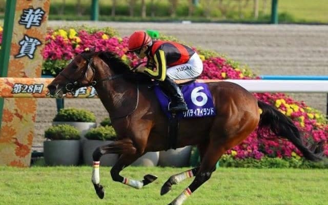 三冠牝馬リバティアイランドなどが登場する天皇賞(秋)など3重賞/今週の競馬界の見どころ