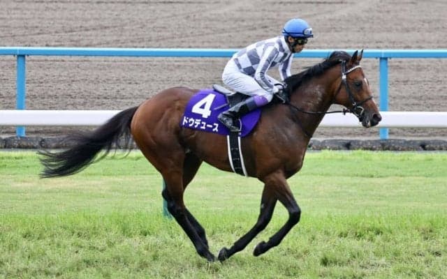 【天皇賞・秋登録馬】ドウデュース、リバティアイランドなど17頭