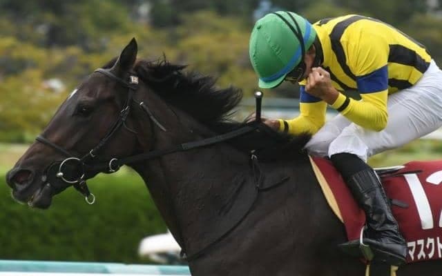 重賞2勝のマスクトディーヴァが19日に登録抹消 社台ファームで繁殖入り