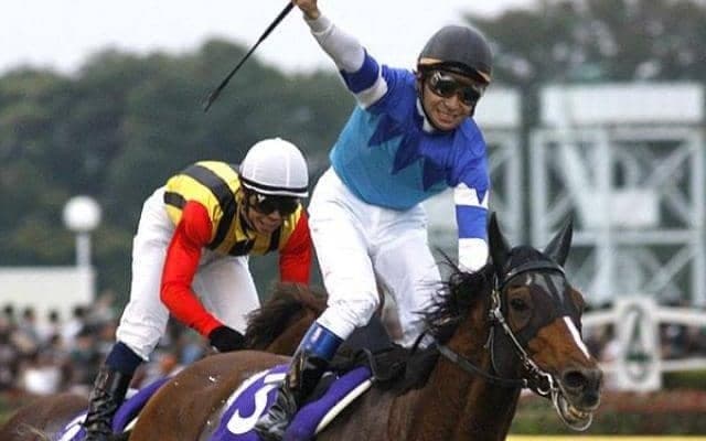 出走18頭が全て重賞勝ち馬の天皇賞(秋) 15年前に生まれた史上初の8歳馬平地GI競走制覇