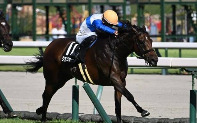 【スワンS見どころ】飛ぶ鳥を落とす勢いのクランフォードが連勝街道まっしぐら