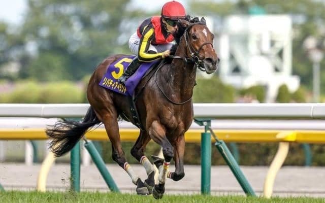 【天皇賞(秋)見どころ】女傑リバティアイランドの底力を支持