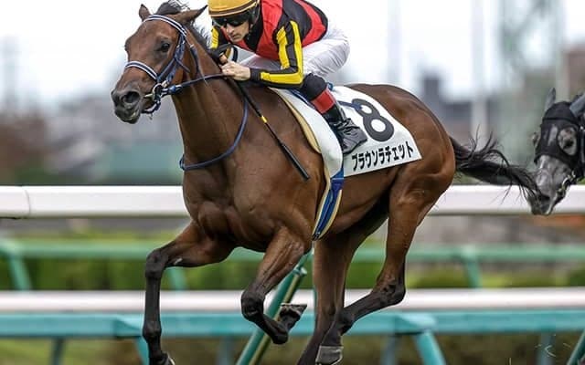 【アルテミスS想定騎手】ブラウンラチェットはC.ルメール騎手、ショウナンザナドゥは池添謙一騎手