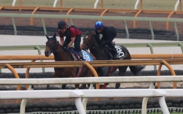 ジョッキーも「かなり良くなった」と太鼓判 松永幹厩舎のマテンロウムーブが今週末初陣/関西馬メイクデビュー情報