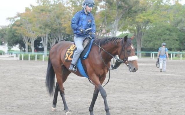 アーモンドアイの初仔「アロンズロッド」 土曜東京で仕切り直しの一戦に挑む/関東馬メイクデビュー情報