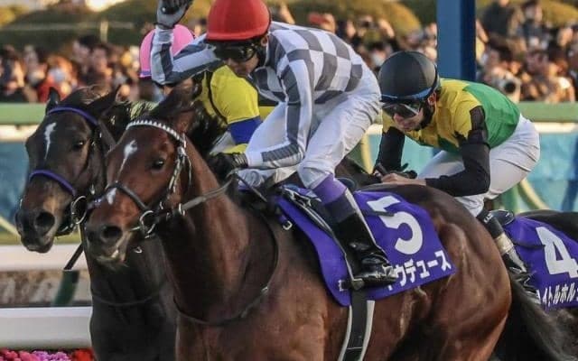 史上7頭目の4年連続JRA平地GI制覇へ ドウデュースが天皇賞(秋)に参戦