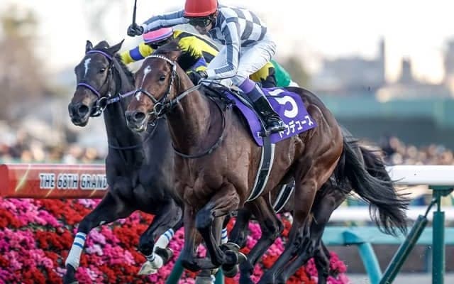 父コントレイルのドウデュース半弟が上場 ミックスセールで高額取引が期待される当歳馬は？