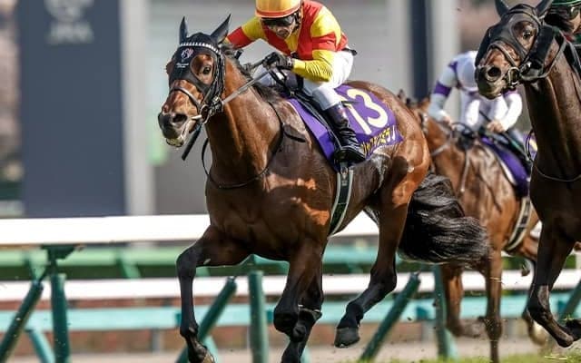 【ミックスセール2024】ウマ娘・藤田晋氏がキタサンブラック産駒を2億9000万円で落札！ 半兄に皐月賞馬ジャスティンミラノ