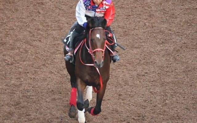 シャンパンエニワンの2022(ジュタ)など、先週の入厩情報/栗東トレセンニュース