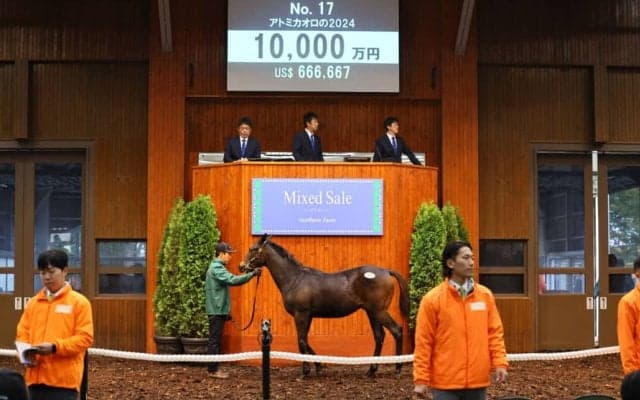 【ミックスセール2024】エピファネイア産駒に1億円…母は亜G1勝ち馬