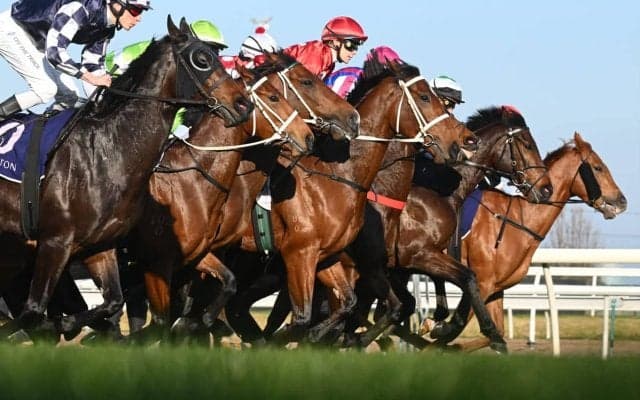 【天皇賞秋／危険な人気馬】勢いづく4歳一角を消し　“秋の盾を勝てない血脈”と「1.0.0.17」の臨戦過程で過度な信頼禁物