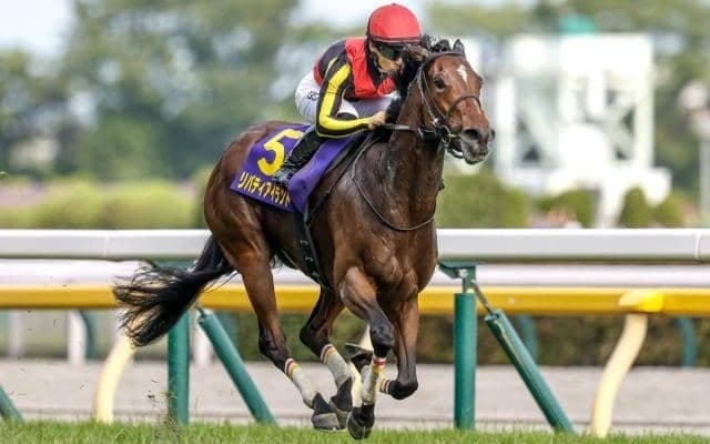 【天皇賞(秋)予想オッズ】リバティアイランドが予想1番人気