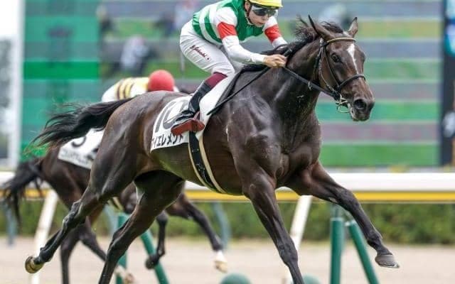 【アルテミスS予想オッズ】マイエレメントが予想1番人気