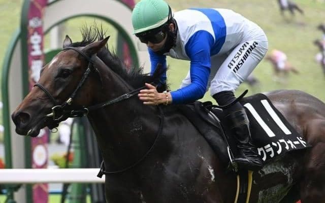 【スワンS予想オッズ】クランフォードが予想1番人気