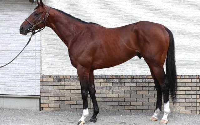 祖父トウカイテイオーが成し得なかった天皇賞(秋)制覇は目の前 ベスト舞台でGIタイトル獲得なるか