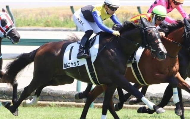 【アルテミスS展望】GI馬続出の出世レース、差し追い込みが決まりやすい