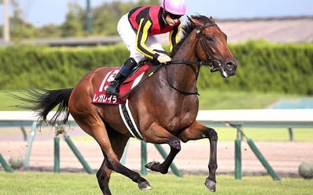 【エリザベス女王杯想定】レガレイラ、スタニングローズなど10頭