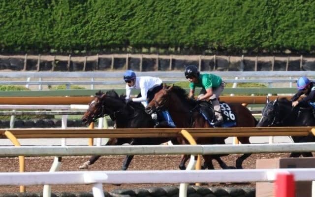 ノットゥルノなど、JBC競走1週前追い切り速報/栗東トレセンニュース