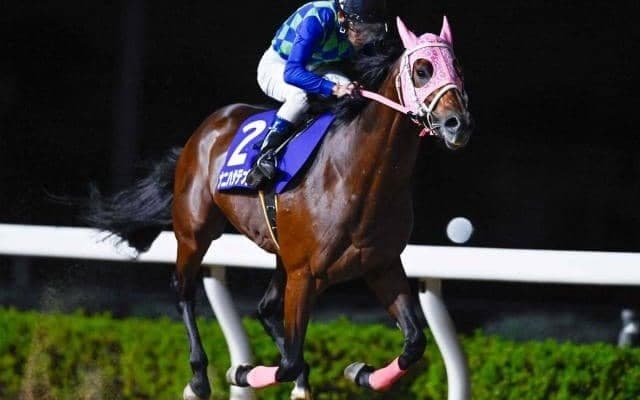 【浦和・埼玉新聞栄冠賞結果】ナニハサテオキが力でねじ伏せ圧倒的人気に応える