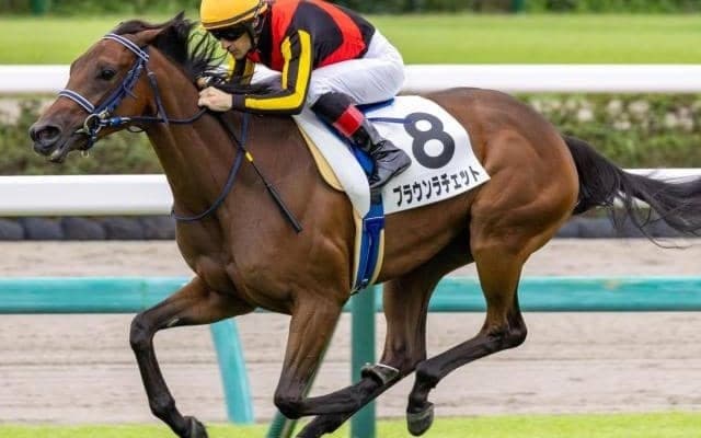 世界を股にかける“ダート王”フォーエバーヤングの半妹 無傷連勝でアルテミスS制覇なるか