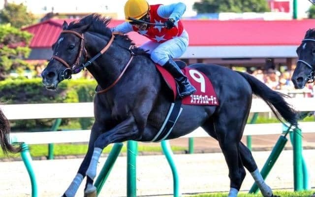 【天皇賞(秋)予想】ビッグレースへの実績がカギ！ AIが推奨する実力ある穴馬とは