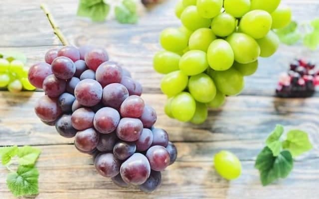 読書の秋のお供には「ぶどう」が最適な理由　目の悩みを抱える方必見！