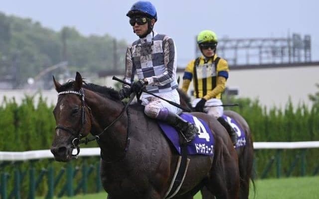 【天皇賞(秋)枠順確定】ドウデュースは4枠7番、リバティアイランドは7枠12番