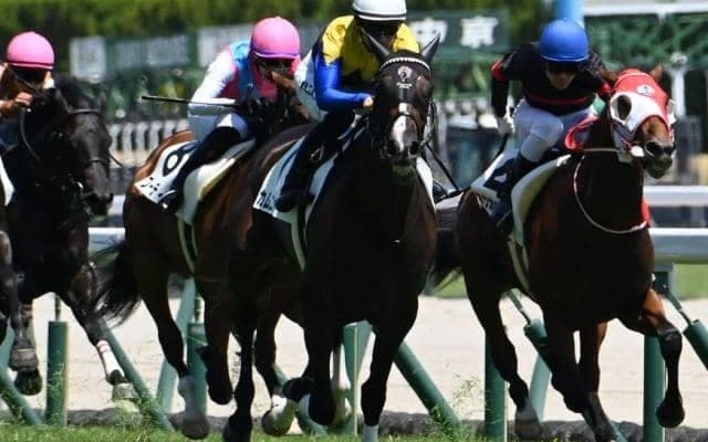 【アルテミスS出走馬・騎手確定】カムニャック＆川田将雅騎手、マイエレメント＆横山武史騎手など11頭