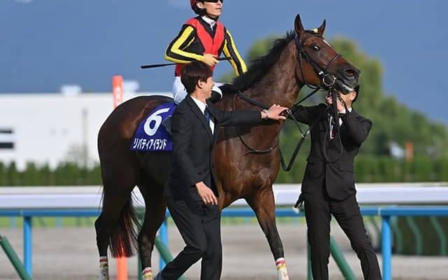 【天皇賞(秋)・調教後馬体重】リバティアイランドは496kg、ドウデュースは522kg