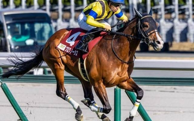 ディープ産駒の未完の大器 豪G1・コックスプレートで今度こそ悲願なるか