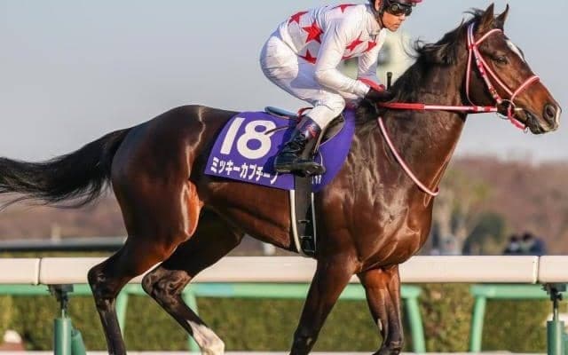 矢作厩舎の“元クラシック有力候補”が待望の復帰戦 22年ホープフルS以来約2年ぶりの一戦を勝利で飾れるか