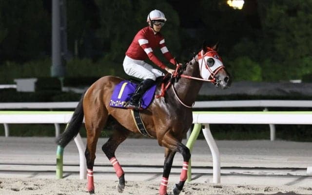 【ブリーダーズカップ】フォーエバーヤングなど日本馬がデルマーに到着