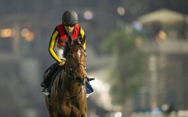 【天皇賞・秋】リバティアイランドは496kg…調教後馬体重