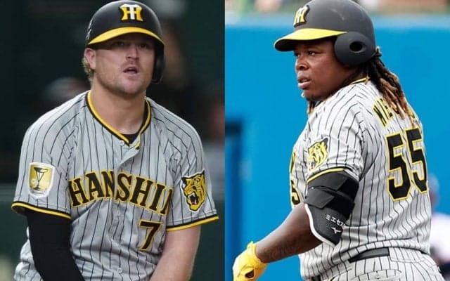 大砲候補は2人でたった1HR→ともに自由契約　投手は活躍も…阪神助っ人、投打で分かれた明暗