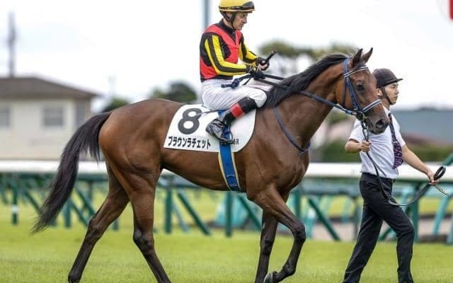 【アルテミスS枠順確定】ブラウンラチェットは2枠2番、カムニャックは8枠10番