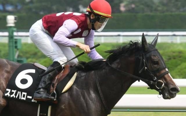 【スワンS枠順確定】スズハロームは4枠8番、クランフォードは2枠4番