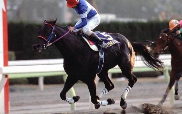 GI級競走2勝のトーホウエンペラーが死亡 28歳