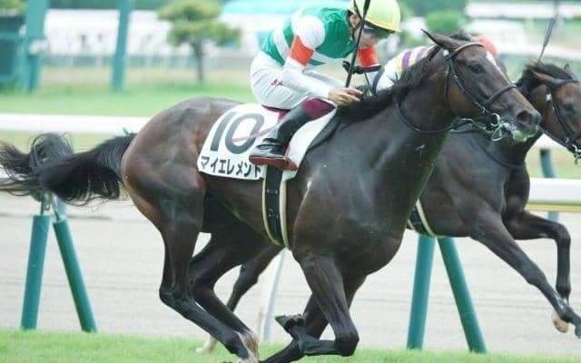 東京芝はエピファネイア産駒に注 マイエレメントの重賞初制覇だ