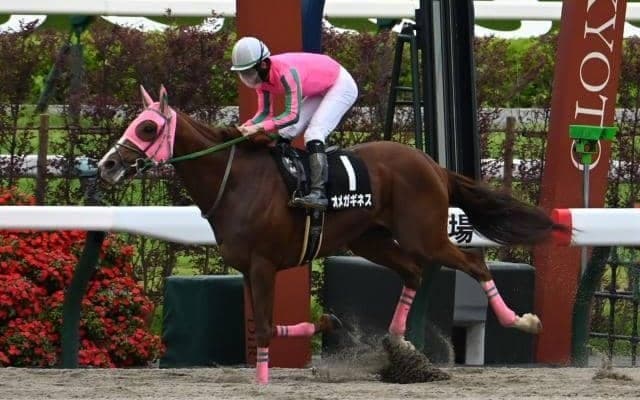 【みやこS想定馬・騎手】オメガギネス、ドゥラエレーデなど19頭